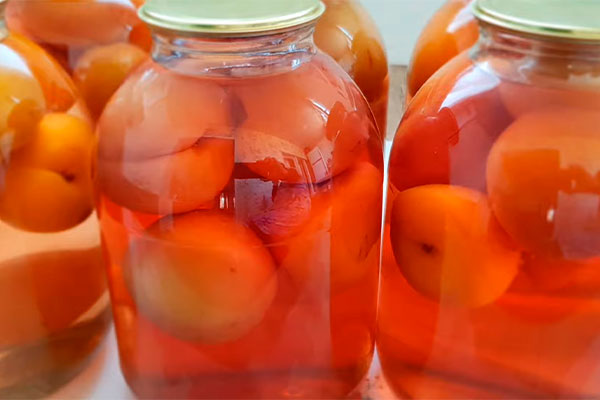 Рецепты компотов из персиков